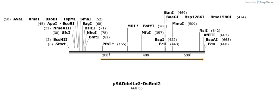 38595_map