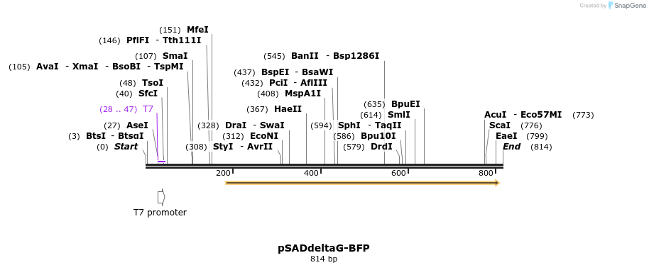 38597_map