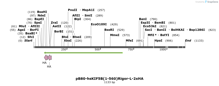 386009_map
