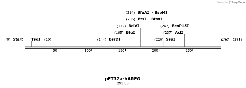 386027_map