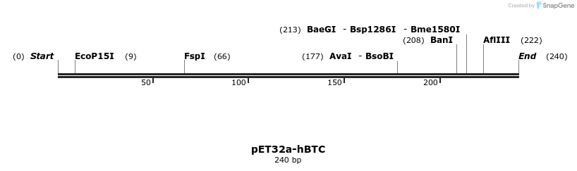 386028_map