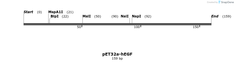 386029_map