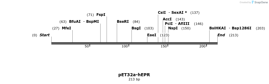 386031_map