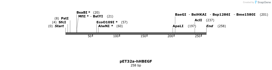386032_map