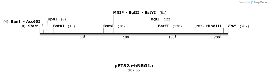 386033_map