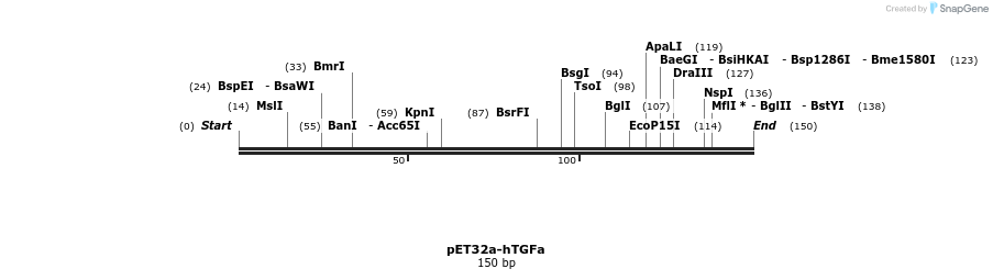 386034_map