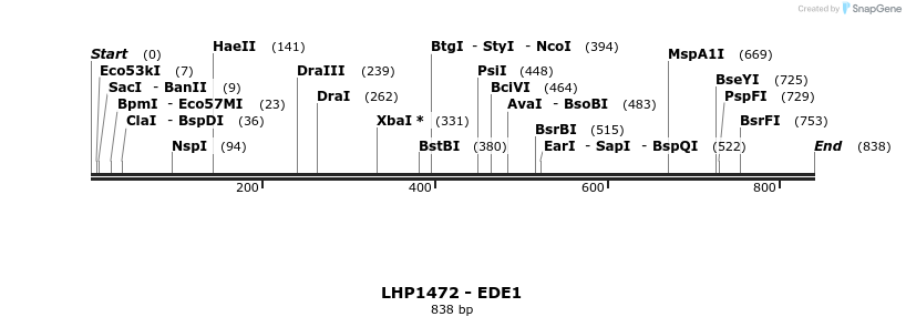 38604_map