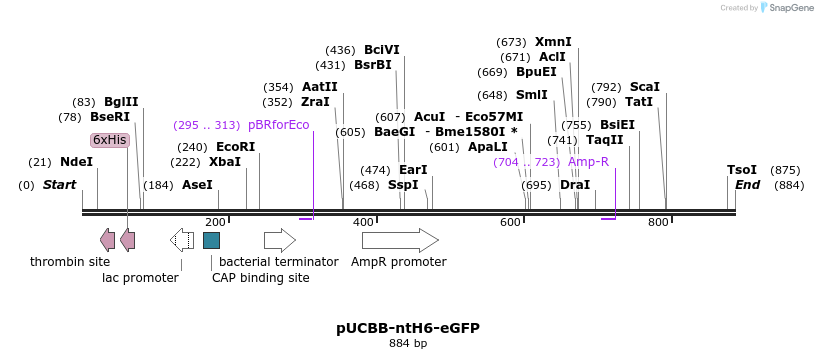 38607_map