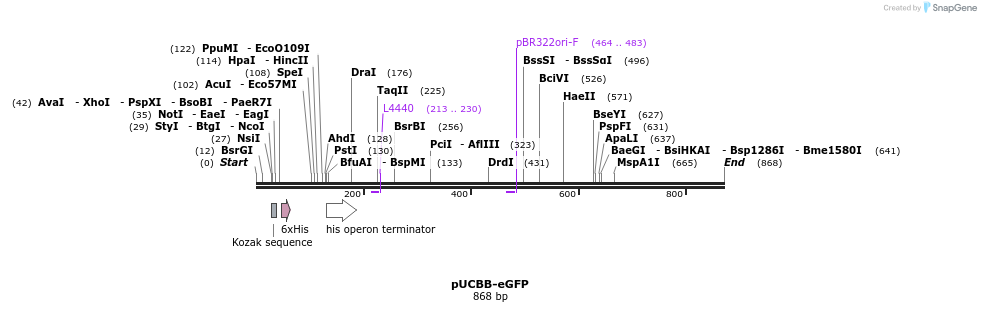 38611_map