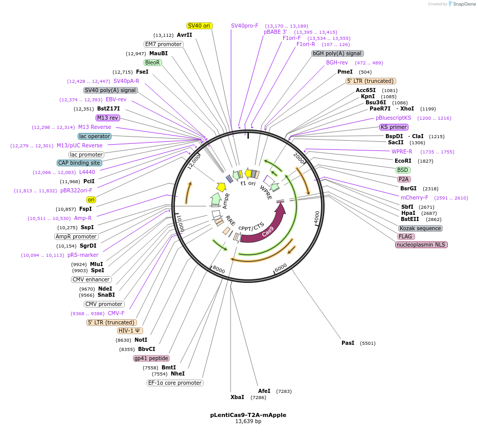 386124_map
