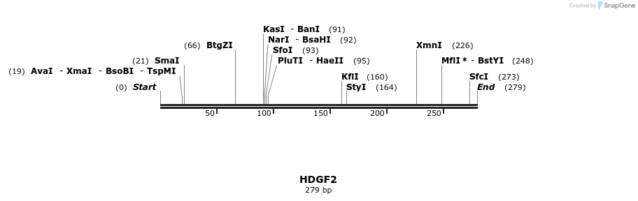 38613_map