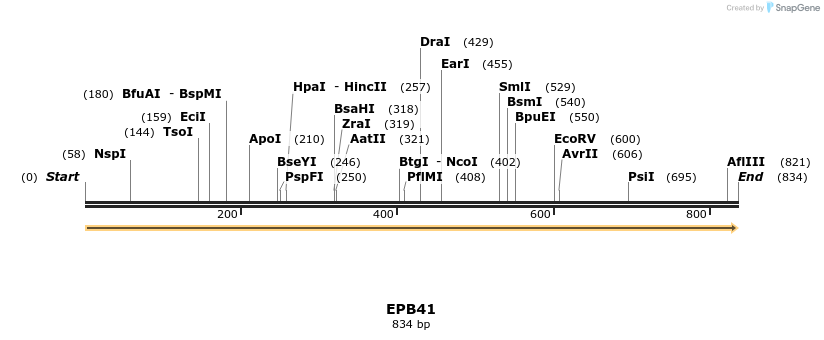 38615_map