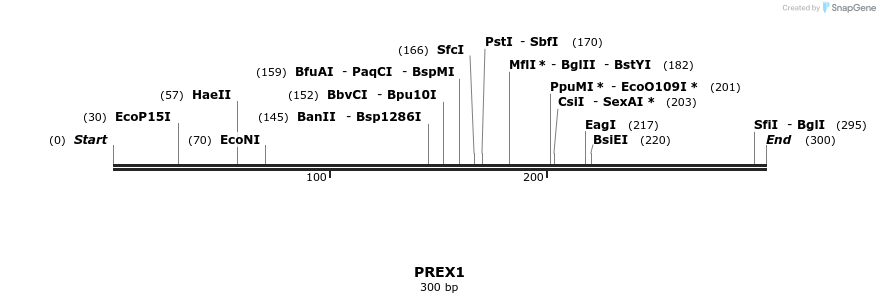 38616_map