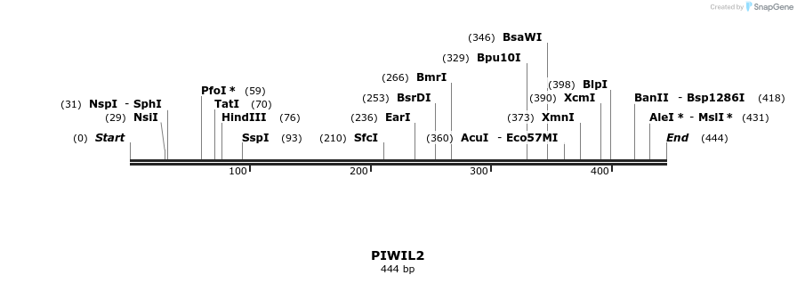 38617_map