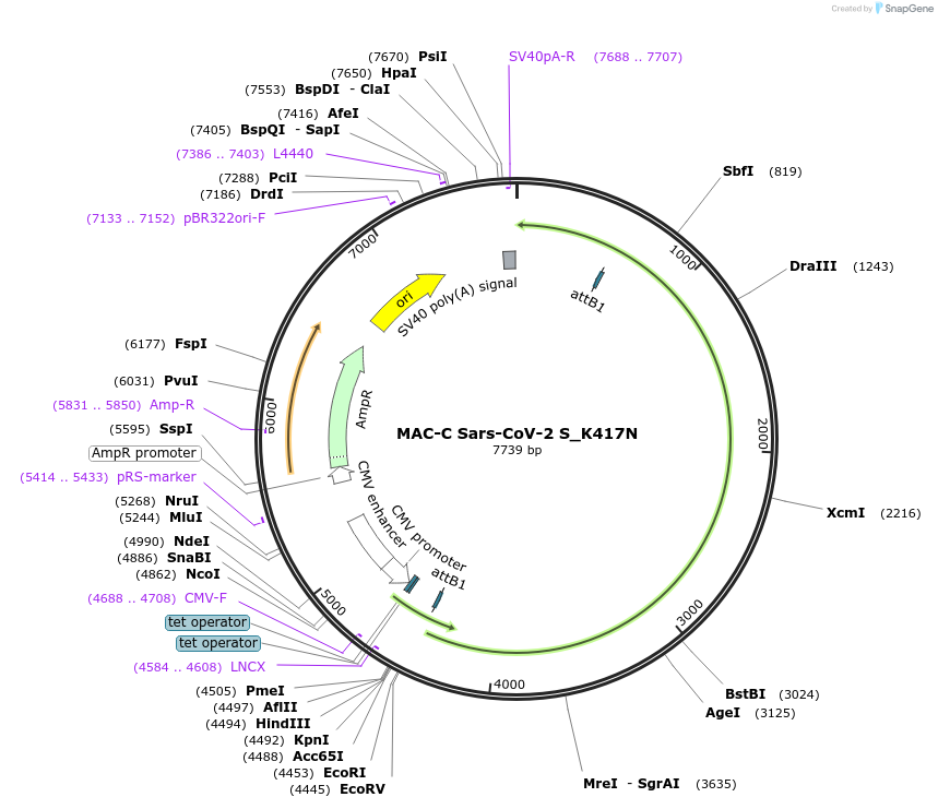 386201_map