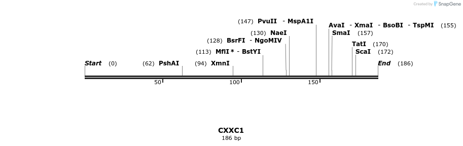 38622_map