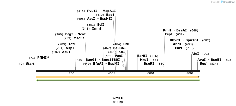 38623_map
