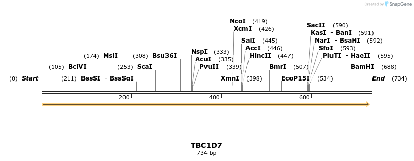 38624_map