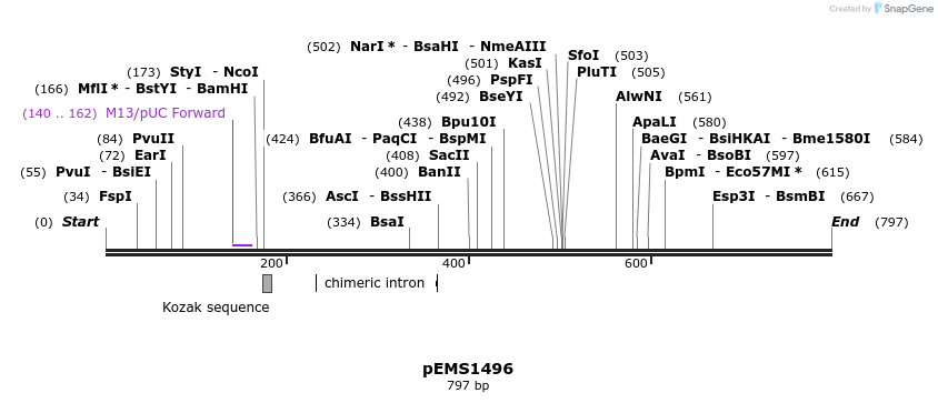 38625_map