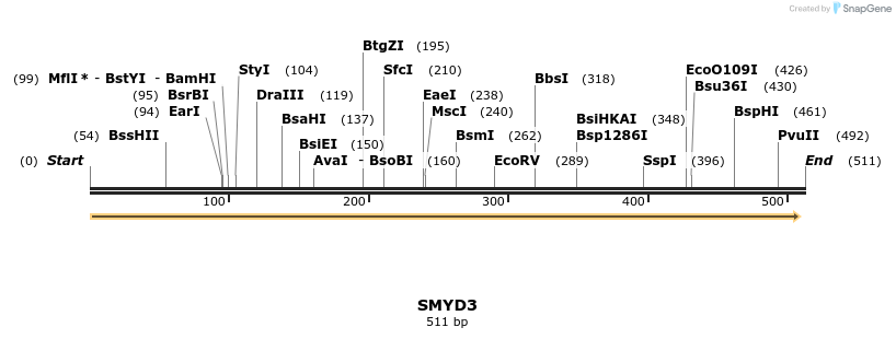 38626_map