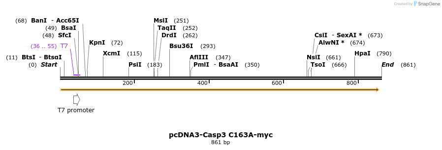 38631_map