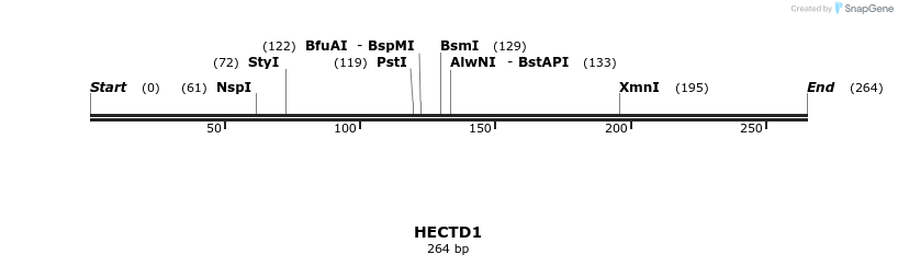 38633_map