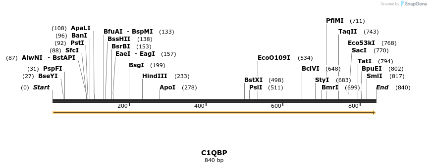38639_map