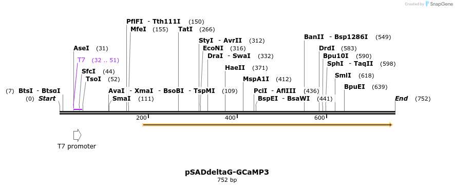 38645_map