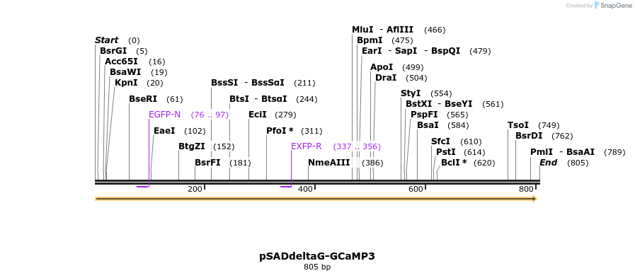 38646_map