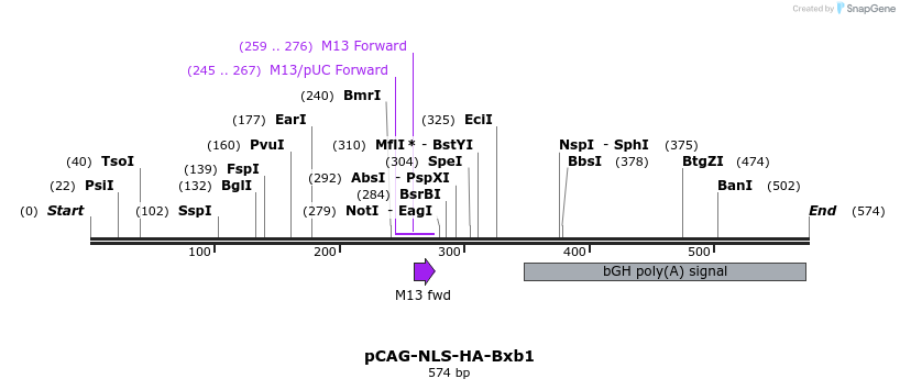 386479_map