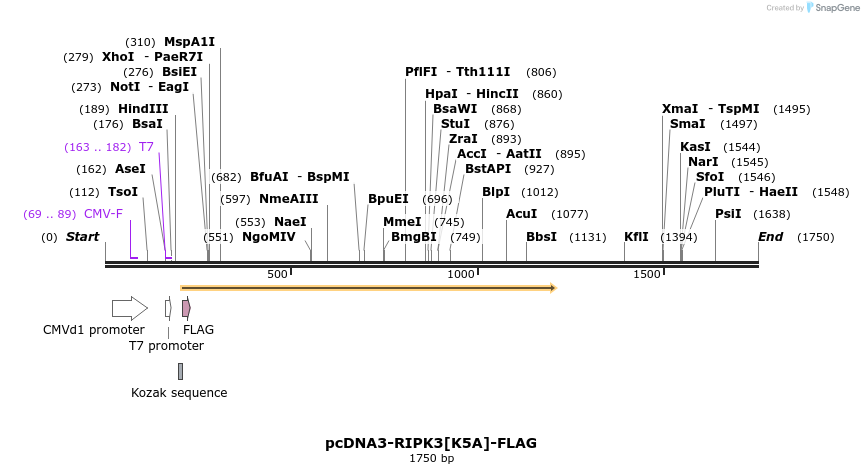 386593_map