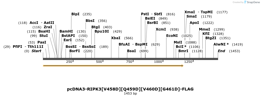 386594_map