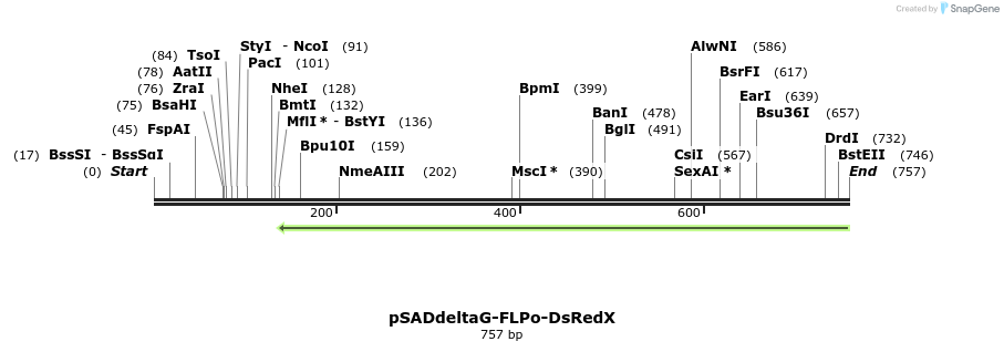 38662_map