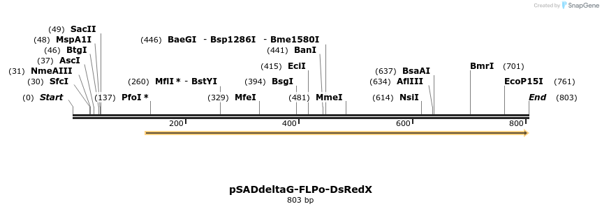 38664_map
