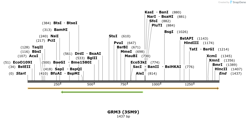 38672_map