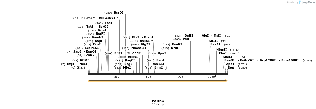 38677_map