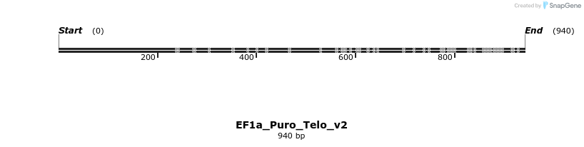 386780_map