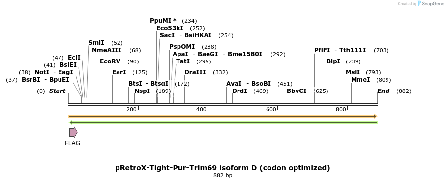 386790_map