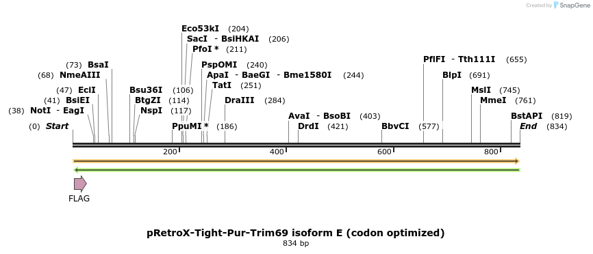 386791_map
