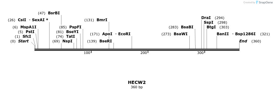 38681_map