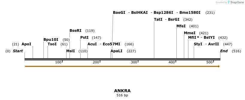 38683_map