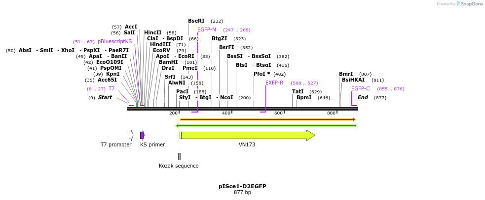 38690_map