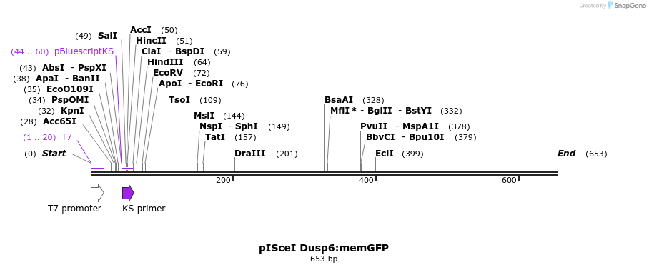 38691_map