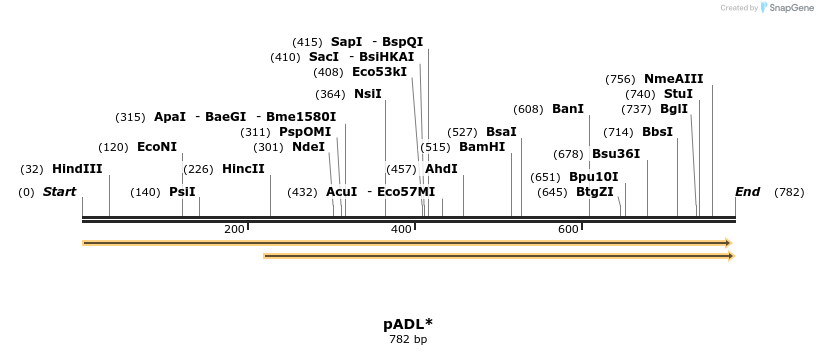 38693_map