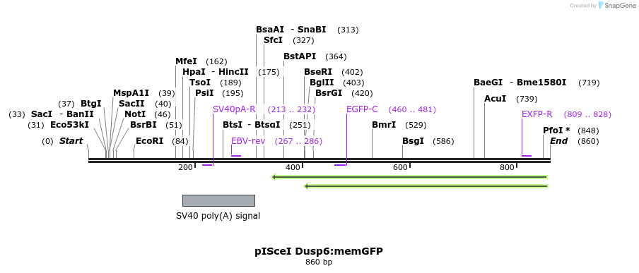 38694_map