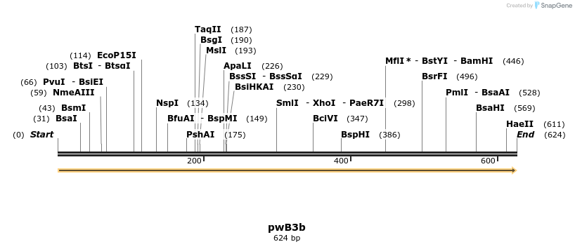 38699_map
