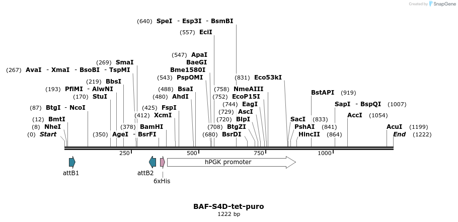 387001_map