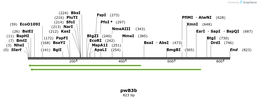 38701_map
