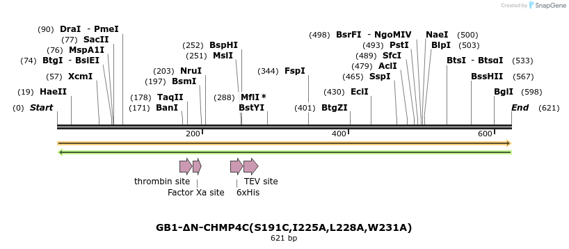 387018_map