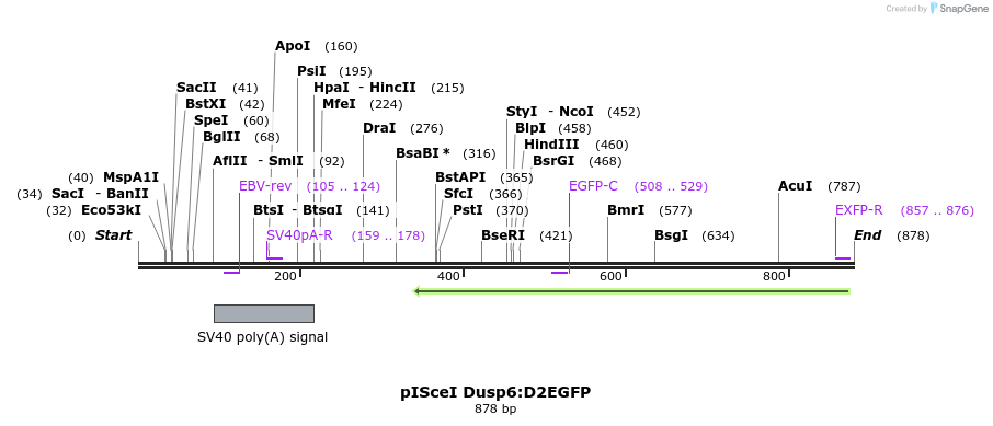 38702_map